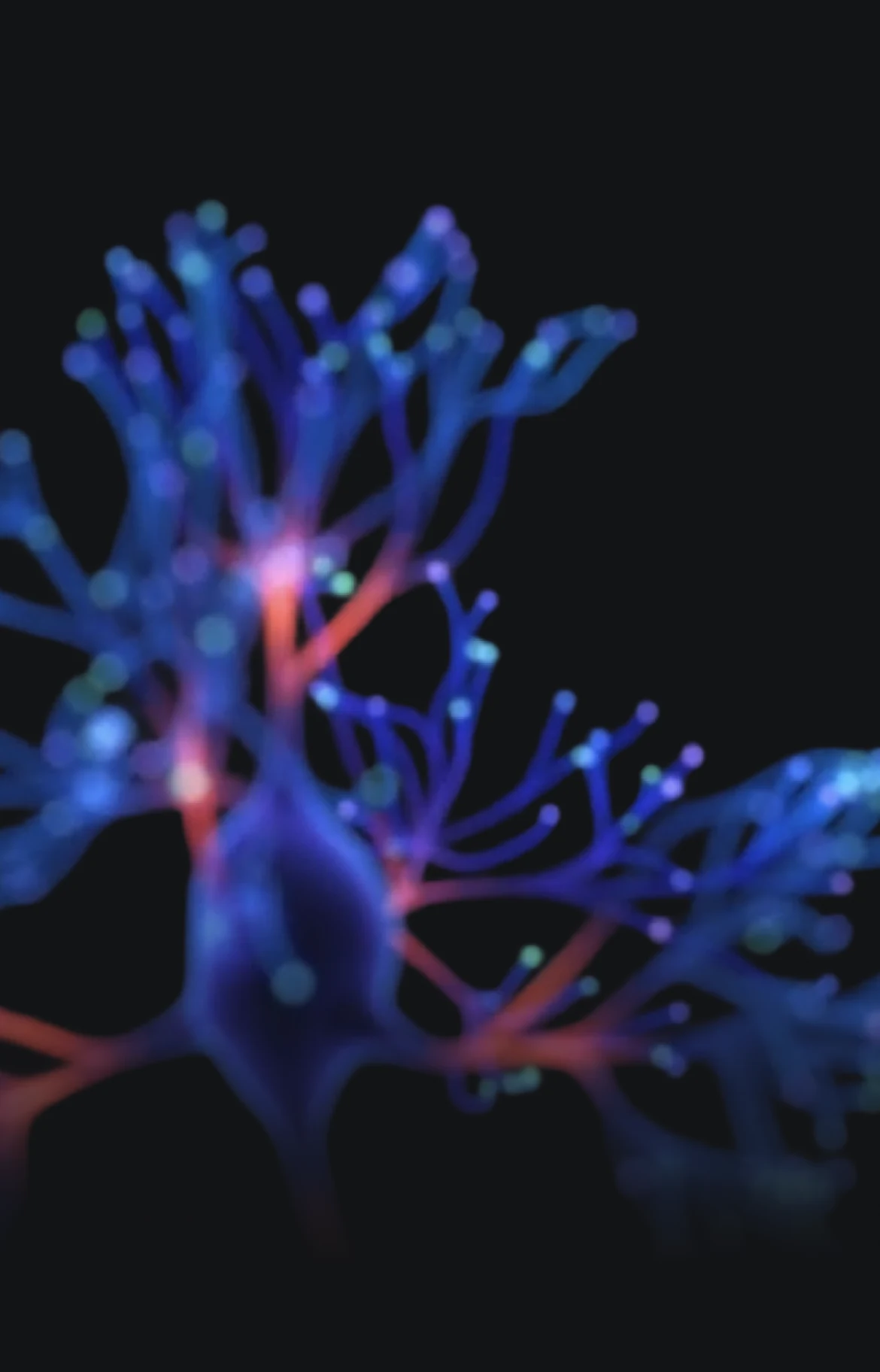 Glowing blue and pink branching forms against a dark background for age1